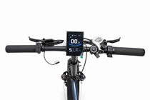Bicicleta Eléctrica FLEX A7AM20 500 W Gris