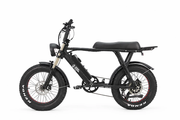 Bicicleta Eléctrica TRAIL S731 750 W Bicicleta Eléctrica TRAIL S731 750 W